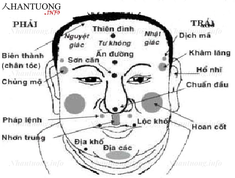 Những vị trí cần biết khi xem tướng nốt ruồi, chàm bớt ở trán Những vị trí cần biết khi xem tướng nốt ruồi, chàm bớt ở trán