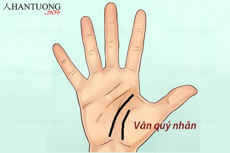 Đường chỉ tay quý nhân đầy may mắn Đường chỉ tay quý nhân đầy may mắn