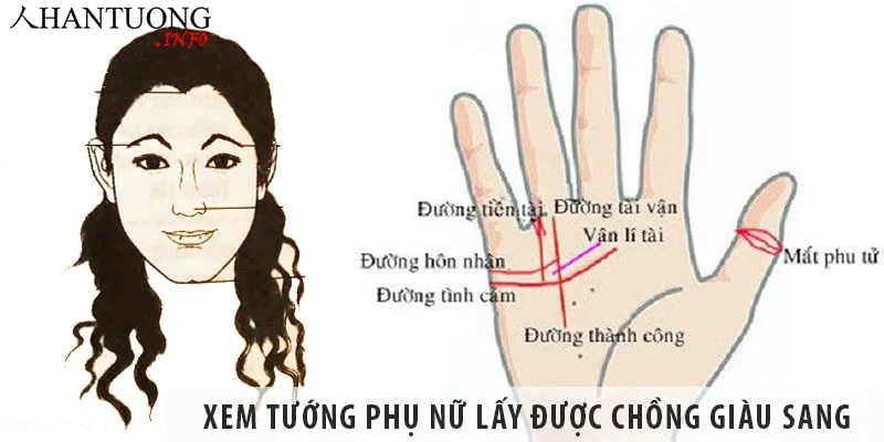 Xem tướng phụ nữ lấy được chồng giàu sang Xem tướng phụ nữ lấy được chồng giàu sang
