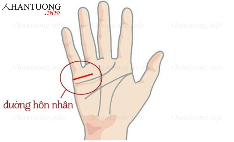 Đường chỉ tay hôn nhân - tình duyên Đường chỉ tay hôn nhân - tình duyên