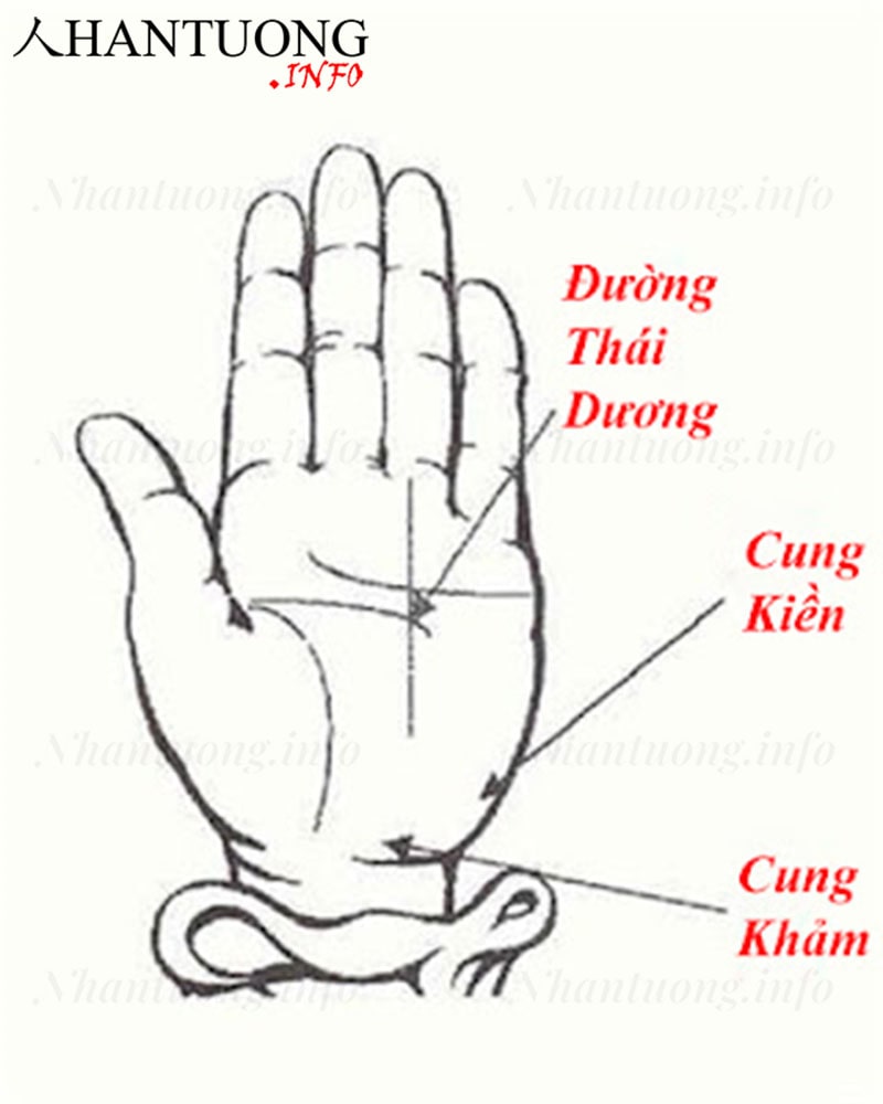 Đường chỉ tay thái dương - đường chỉ tay tiền tài Đường chỉ tay thái dương - đường chỉ tay tiền tài