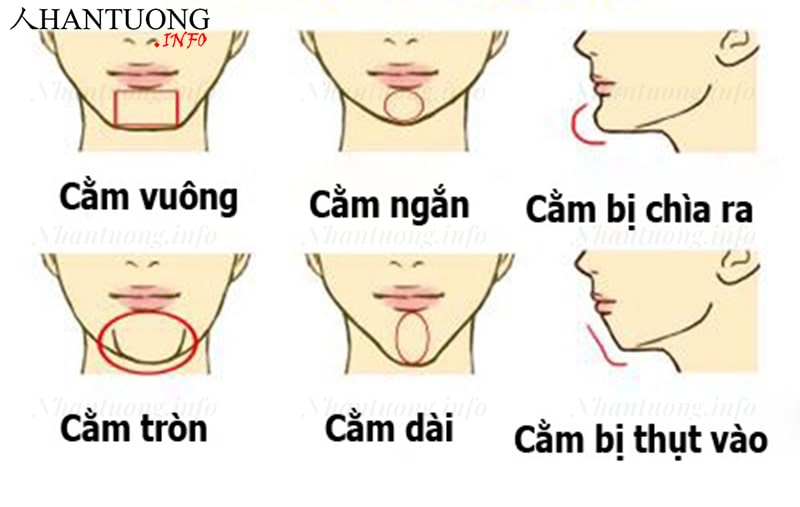 Các tướng cằm thường thấy trong Nhân tướng Các tướng cằm thường thấy trong Nhân tướng