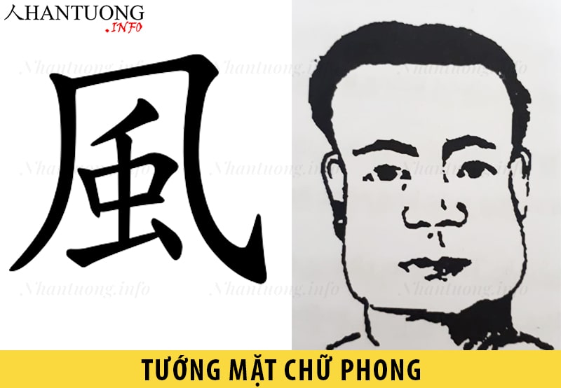 Tướng mặt hình chữ Phong Tướng mặt hình chữ Phong