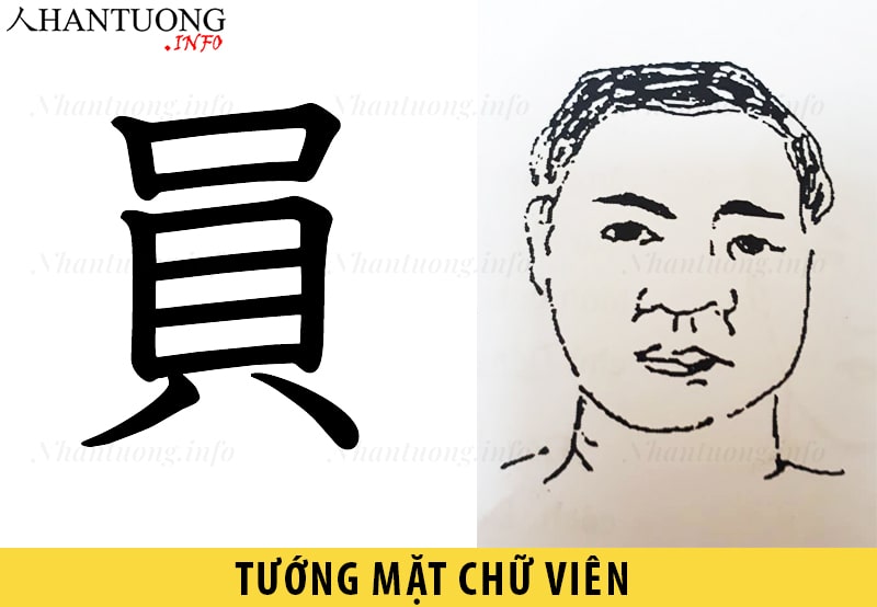 Tướng mặt hình chữ Viên Tướng mặt hình chữ Viên