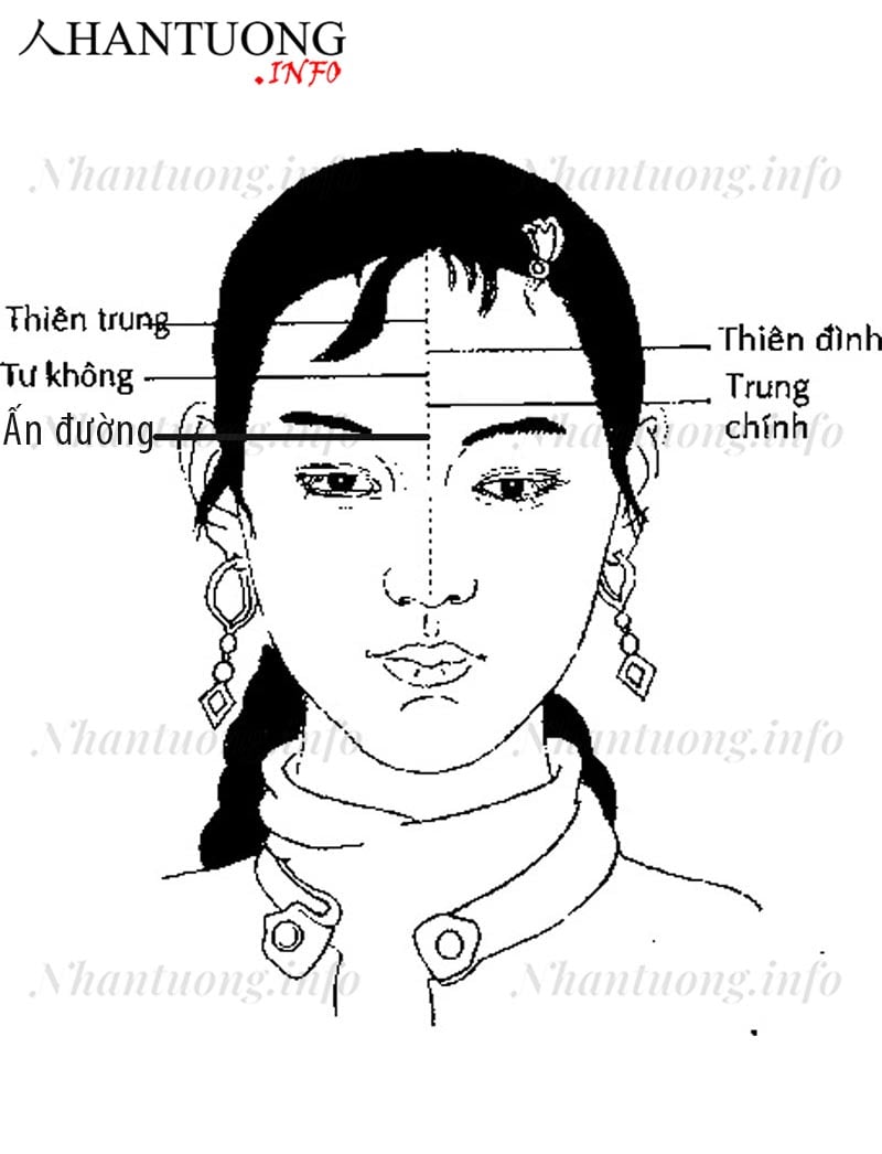 Vị trí thiên đình, thiên trung, trung chính, tư không, ấn đường Vị trí thiên đình, thiên trung, trung chính, tư không, ấn đường