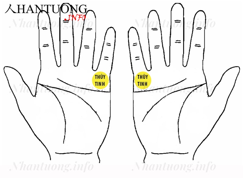 Gò Thủy tinh ở trên bàn tay Gò Thủy tinh ở trên bàn tay