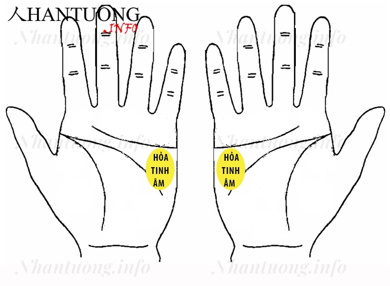 Gò Hỏa tinh âm ở trên bàn tay Gò Hỏa tinh âm ở trên bàn tay