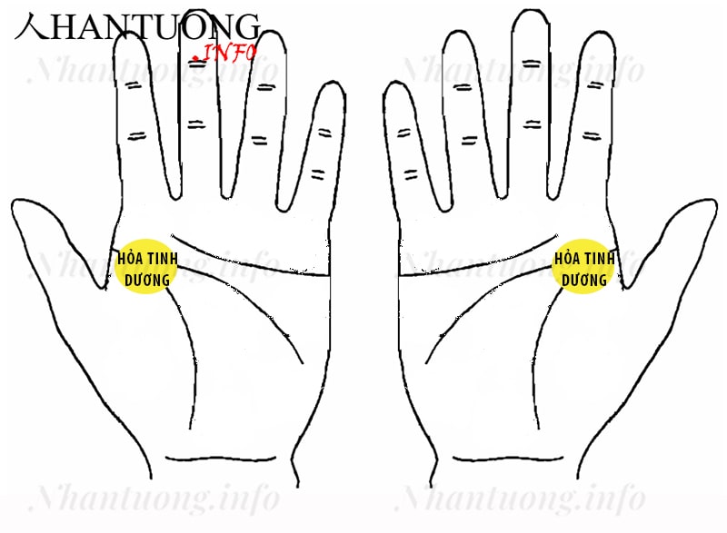 Gò Hỏa tinh dương ở trên bàn tay Gò Hỏa tinh dương ở trên bàn tay