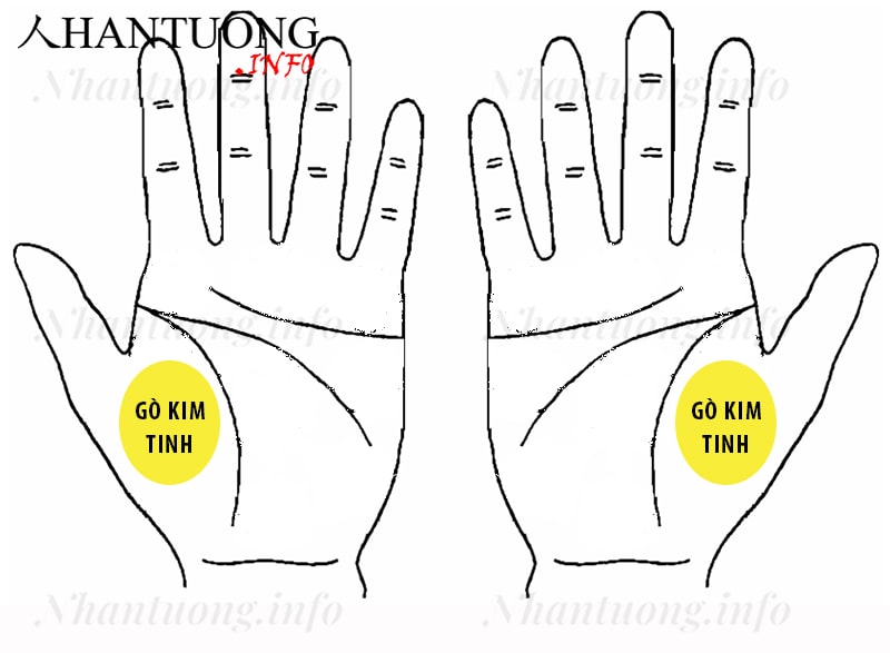 Gò Kim tinh ở trên bàn tay Gò Kim tinh ở trên bàn tay