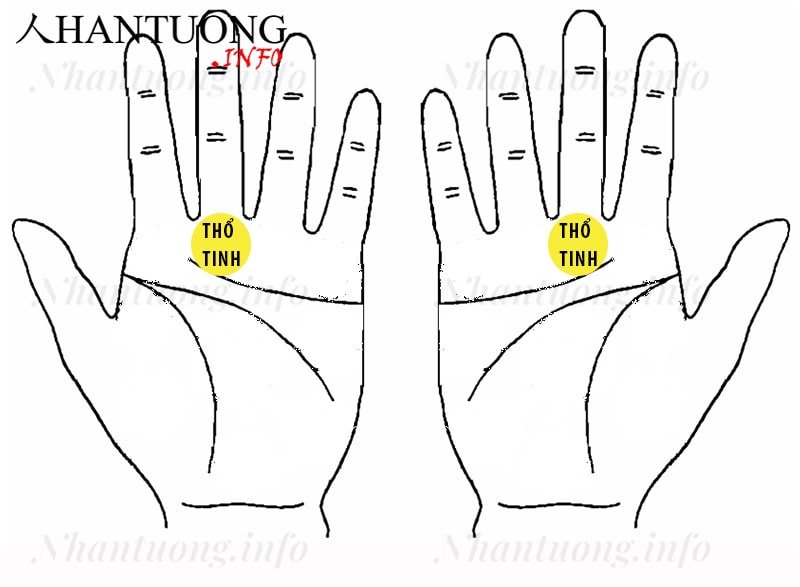 Gò Thổ tinh ở trên bàn tay Gò Thổ tinh ở trên bàn tay
