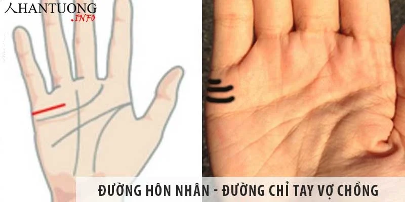 Đường hôn nhân - Đường chỉ tay vợ chồng trên bàn tay Đường hôn nhân - Đường chỉ tay vợ chồng trên bàn tay