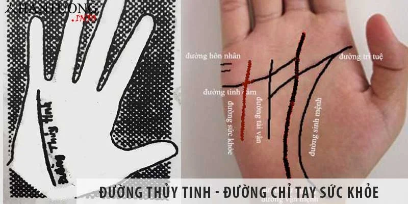 Đường Thủy tinh - đường chỉ tay sức khỏe, bệnh tật trên bàn tay Đường Thủy tinh - đường chỉ tay sức khỏe, bệnh tật trên bàn tay