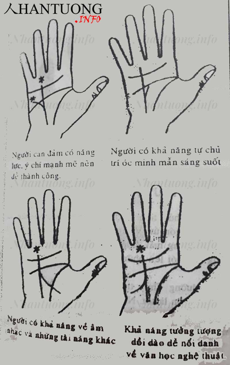 Gò thái dương có vân hình sao cùng đường thái dương Gò thái dương có vân hình sao cùng đường thái dương