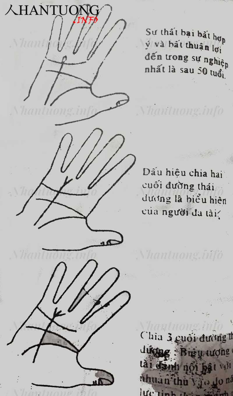 Đường thái dương rẽ nhánh Đường thái dương rẽ nhánh