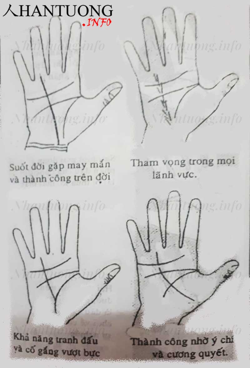 Xem đường Thái dương - đường chỉ tay thành công trên bàn tay 10 Xem đường Thái dương - đường chỉ tay thành công trên bàn tay