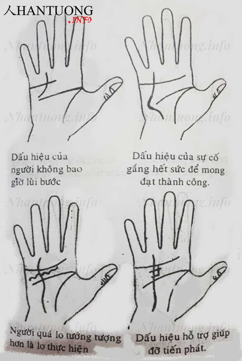 Xem đường Thái dương - đường chỉ tay thành công trên bàn tay 11 Xem đường Thái dương - đường chỉ tay thành công trên bàn tay
