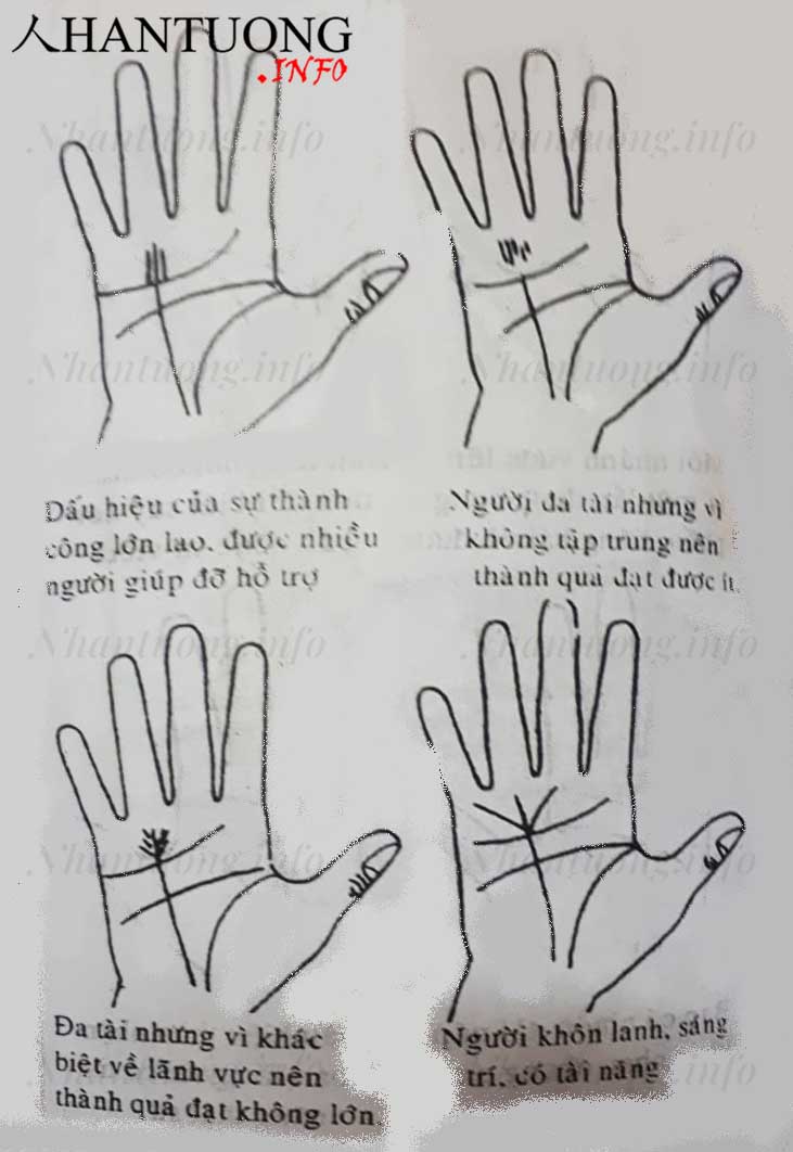 Xem đường Thái dương - đường chỉ tay thành công trên bàn tay 12 Xem đường Thái dương - đường chỉ tay thành công trên bàn tay
