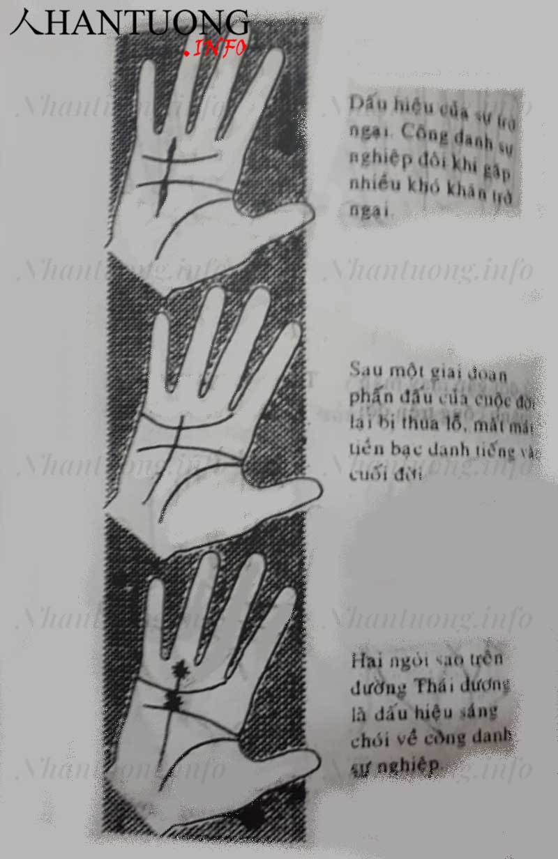 Xem đường Thái dương - đường chỉ tay thành công trên bàn tay 15 Xem đường Thái dương - đường chỉ tay thành công trên bàn tay