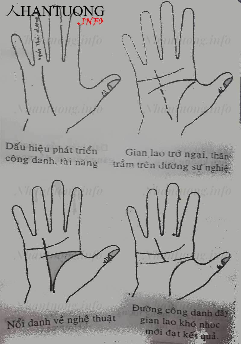 Xem đường Thái dương - đường chỉ tay thành công trên bàn tay 1 Xem đường Thái dương - đường chỉ tay thành công trên bàn tay