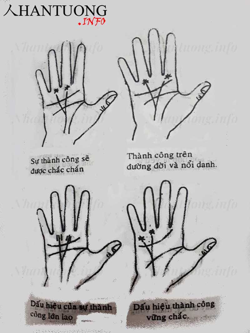 Xem đường Thái dương - đường chỉ tay thành công trên bàn tay 16 Xem đường Thái dương - đường chỉ tay thành công trên bàn tay