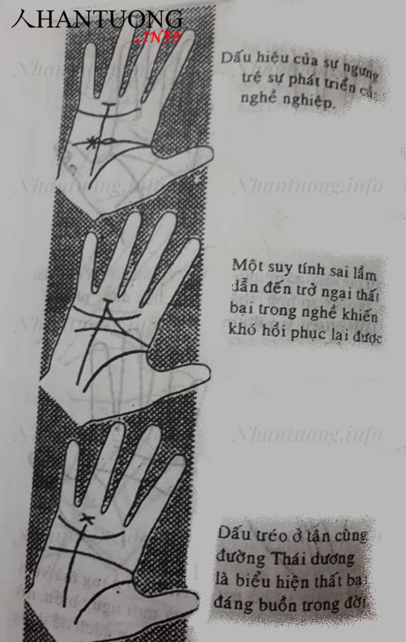 Xem đường Thái dương - đường chỉ tay thành công trên bàn tay 2 Xem đường Thái dương - đường chỉ tay thành công trên bàn tay