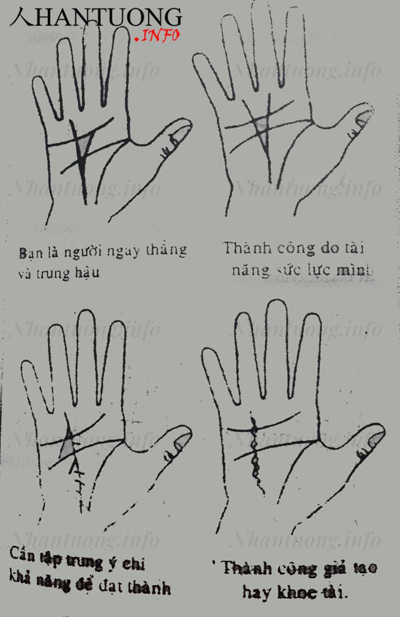 Xem đường Thái dương - đường chỉ tay thành công trên bàn tay 5 Xem đường Thái dương - đường chỉ tay thành công trên bàn tay