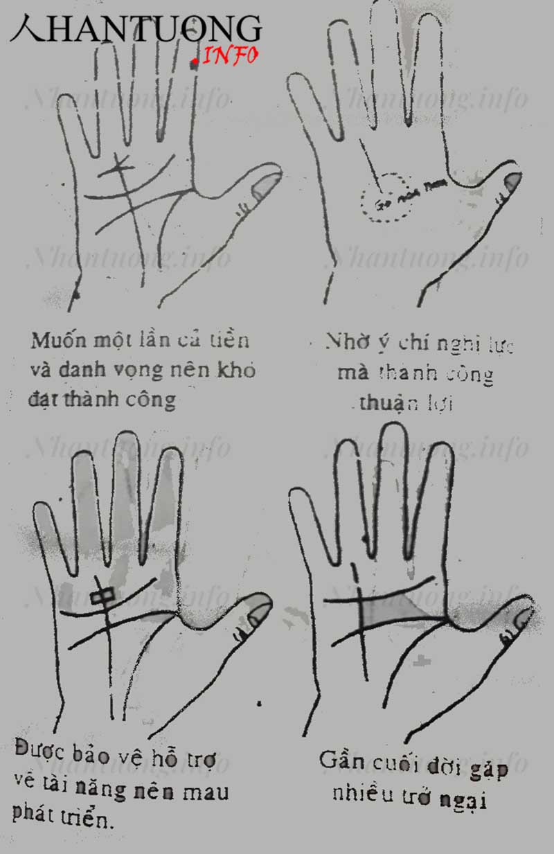 Xem đường Thái dương - đường chỉ tay thành công trên bàn tay 6 Xem đường Thái dương - đường chỉ tay thành công trên bàn tay
