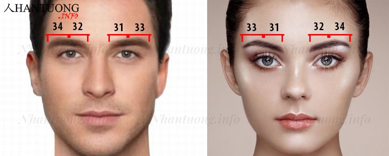Cách tính vận hạn theo lông mày ở nam giới và nữ giới Cách tính vận hạn theo lông mày ở nam giới và nữ giới