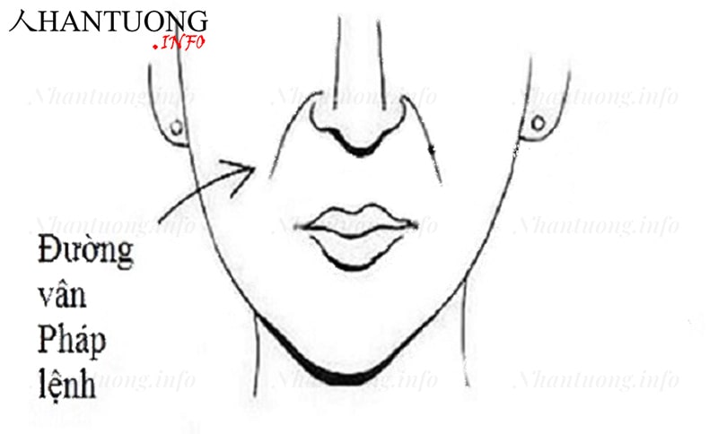 Vị trí đường pháp lệnh trên khuôn mặt Vị trí đường pháp lệnh trên khuôn mặt