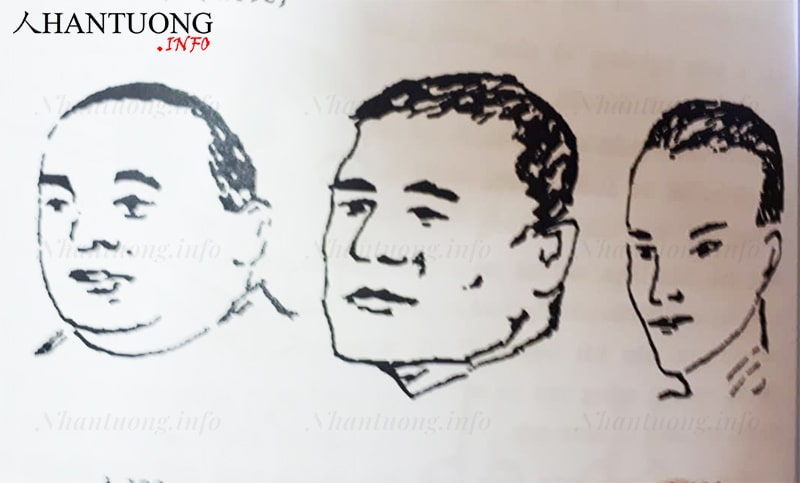 Tướng cằm nhọn ở một số kiểu khuôn mặt Tướng cằm nhọn ở một số kiểu khuôn mặt