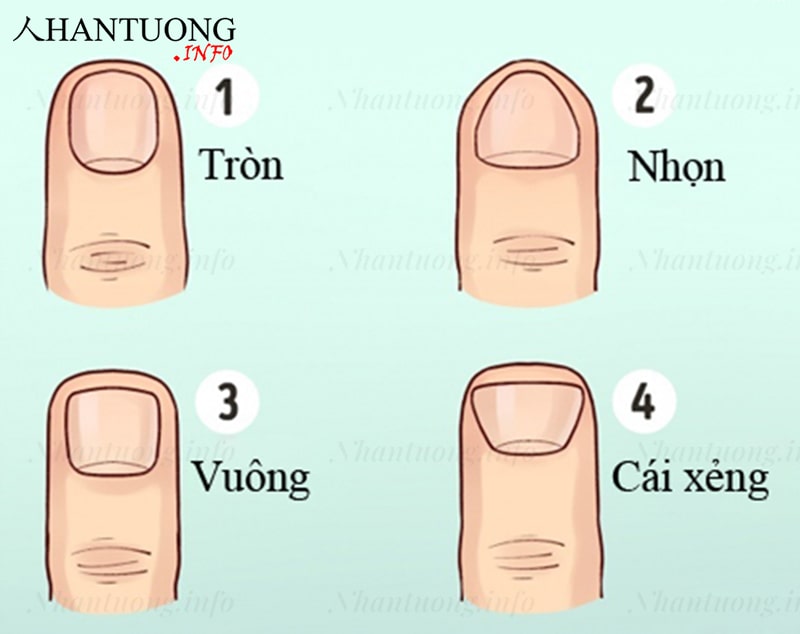 Cách phân biệt đầu ngón tay vuông với các loại khác Cách phân biệt đầu ngón tay vuông với các loại khác