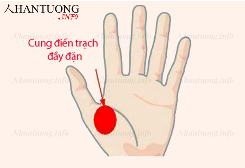Vị trí cung điền trạch trên bàn tay Vị trí cung điền trạch trên bàn tay
