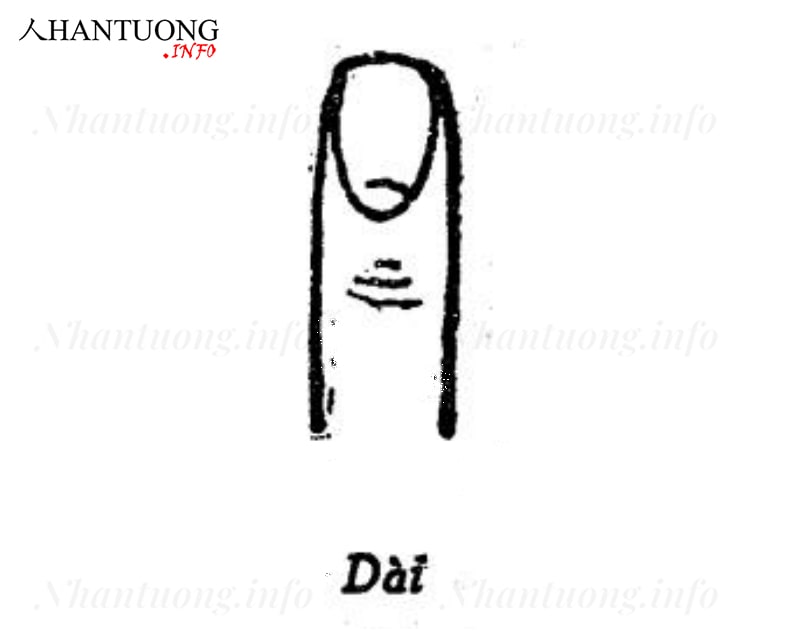 Tướng móng tay dài Tướng móng tay dài