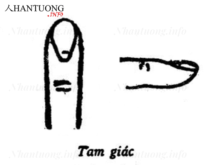 Tướng móng tay tam giác Tướng móng tay tam giác