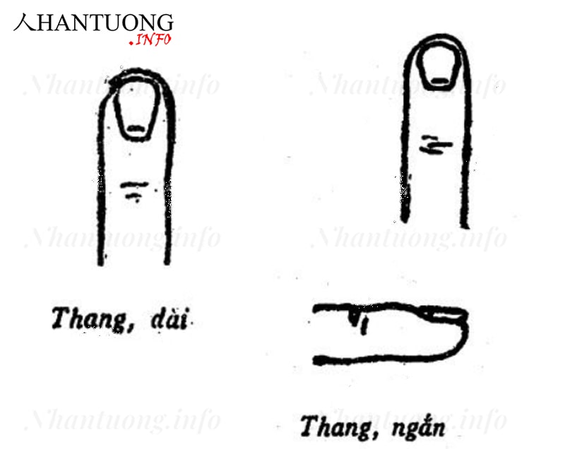 Tướng móng hình thang Tướng móng hình thang