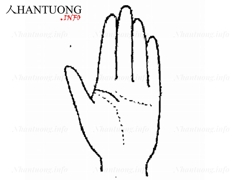 Lệch khỏi vị trí của đường Sinh mệnh xuất hiện đường trí tuệ ngắn và đi xuống Lệch khỏi vị trí của đường Sinh mệnh xuất hiện đường trí tuệ ngắn và đi xuống