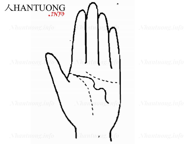 Đường Trí tuệ có dạng sóng Đường Trí tuệ có dạng sóng