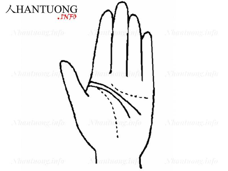 Có hai đường Trí tuệ Có hai đường Trí tuệ