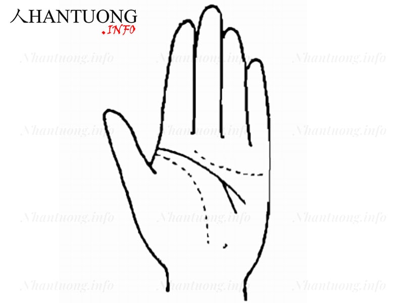 Đường trí tuệ phân làm hai Đường trí tuệ phân làm hai