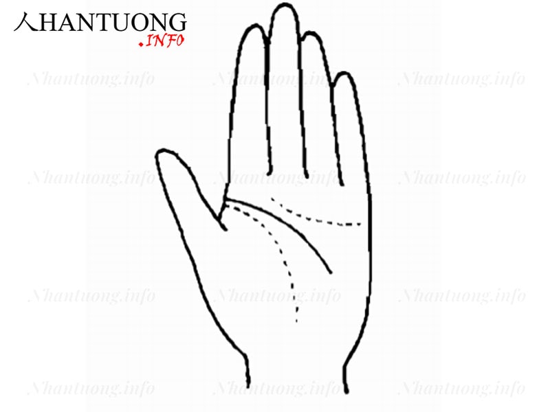 Vị trí đường Trí tuệ lệch khỏi đường Sinh mệnh kéo dài đến giữa bàn tay Vị trí đường Trí tuệ lệch khỏi đường Sinh mệnh kéo dài đến giữa bàn tay