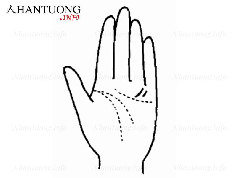 Gốc của ngón út và ngón vô danh có hai đường vân thẳng hướng Gốc của ngón út và ngón vô danh có hai đường vân thẳng hướng