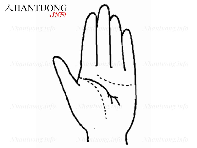 Cuối đường Trí tuệ phân làm ba đường trở lên Cuối đường Trí tuệ phân làm ba đường trở lên