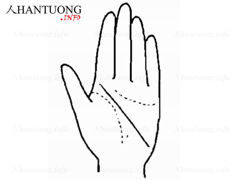 Đường Trí tuệ kéo dài từ gò Mộc tinh xuống gò Nguyệt tinh Đường Trí tuệ kéo dài từ gò Mộc tinh xuống gò Nguyệt tinh