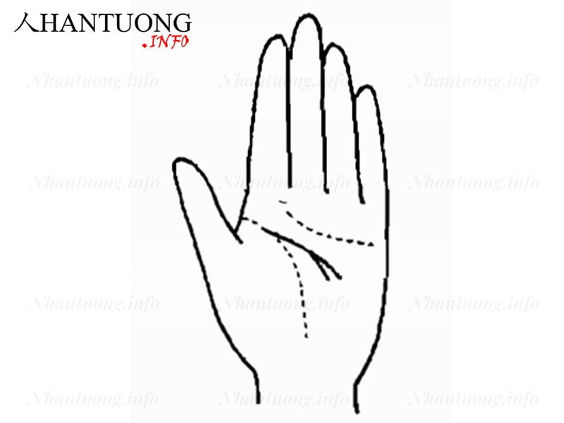 Đường Trí tuệ đầu có nhánh rẽ ra từ nhánh đường Sinh Mệnh Đường Trí tuệ đầu có nhánh rẽ ra từ nhánh đường Sinh Mệnh