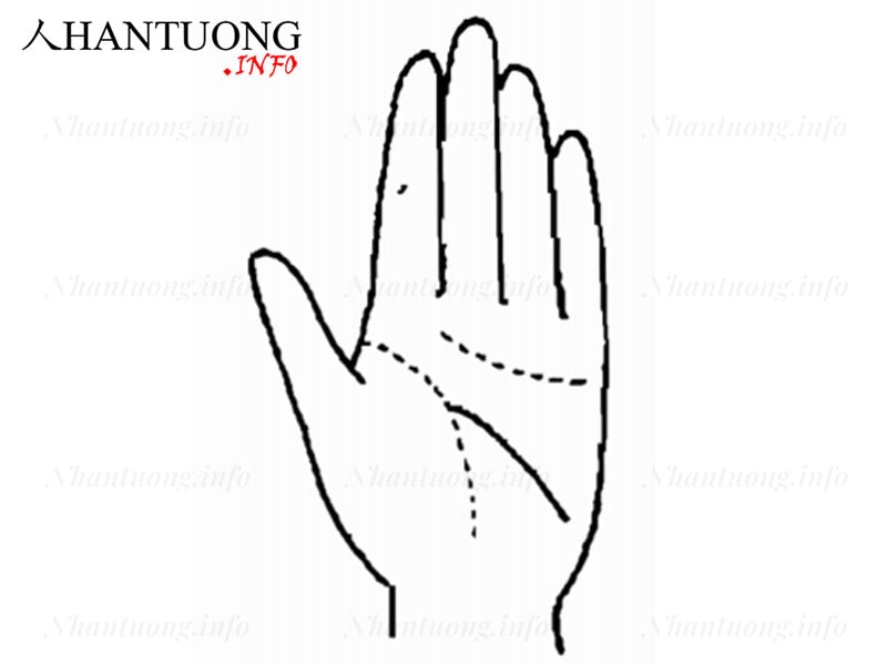 Đường Trí tuệ từ đường Sinh mệnh rẽ ra Đường Trí tuệ từ đường Sinh mệnh rẽ ra