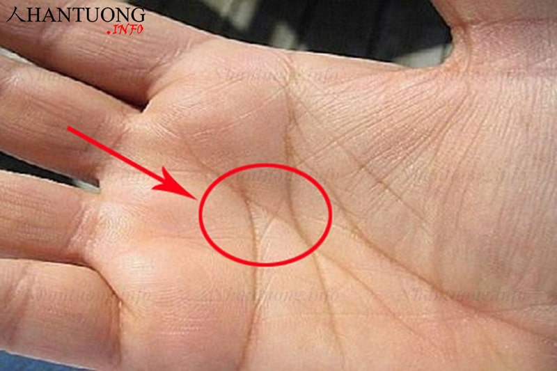 Mẫu đường chỉ tay chữ X điển hình Mẫu đường chỉ tay chữ X điển hình