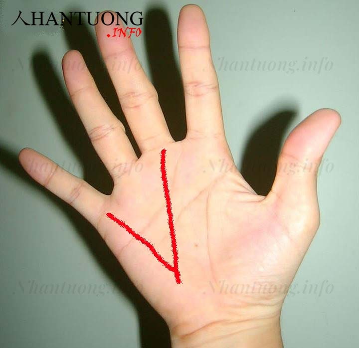 Đường chỉ tay chữ V Đường chỉ tay chữ V