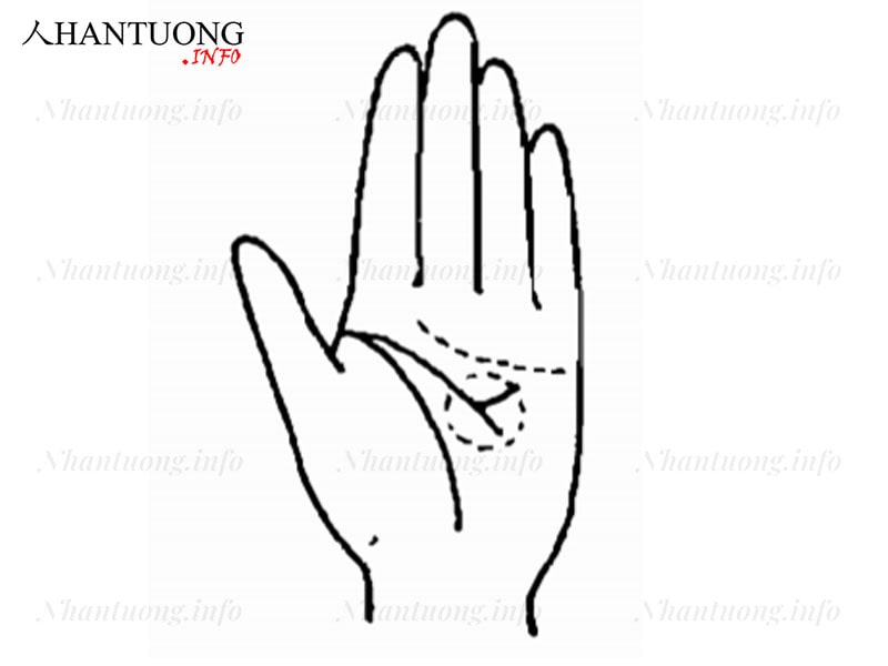 Đường chỉ tay người quá lí trí Đường chỉ tay người quá lí trí