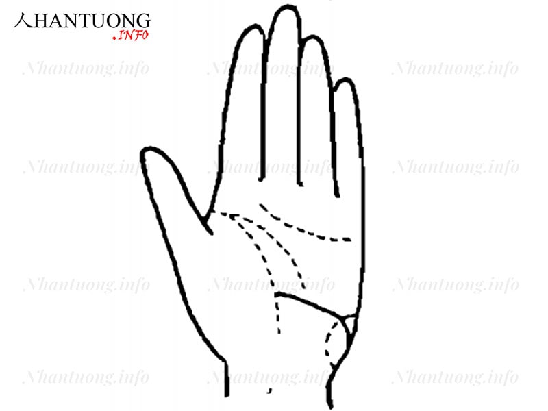 Đường chỉ tay người thiếu bản lĩnh Đường chỉ tay người thiếu bản lĩnh