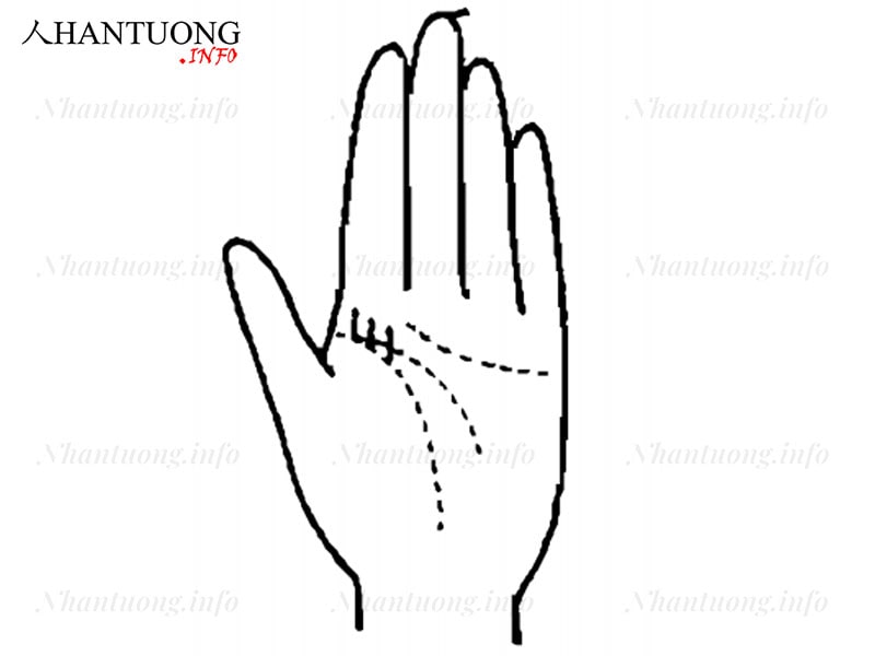 Đường chỉ tay người nông nổi, dễ sa ngã Đường chỉ tay người nông nổi, dễ sa ngã